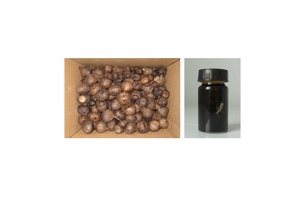 79、成果名稱：黑蒜汁及副產(chǎn)物綜合利用技術(shù)