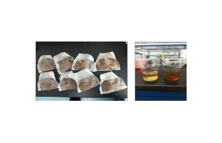 62、成果名稱：靈芝子實(shí)體汽爆超微速溶茶加工技術(shù)