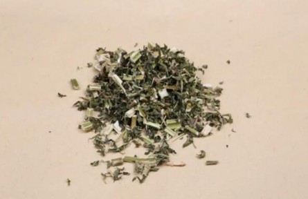 學認中藥材：益母草