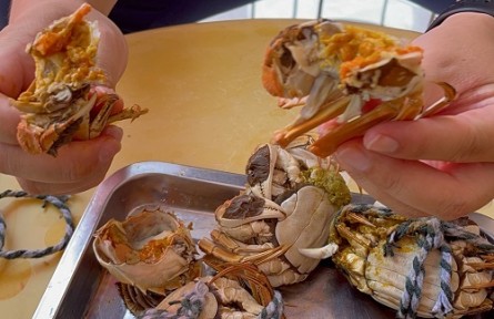 山東省濟寧市微山縣韓莊鎮(zhèn)：大力發(fā)展特色農(nóng)業(yè) 全面推進鄉(xiāng)村振興