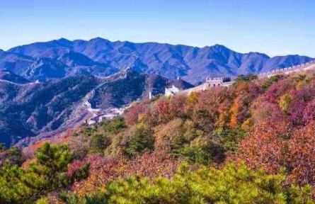 北京：八達嶺長城秋色醉美