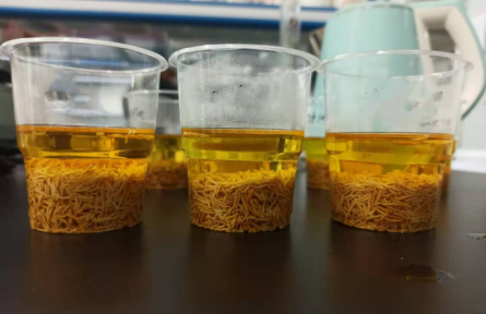 ?53、成果名稱：牡丹花蕊汽爆速溶茶加工技術(shù)