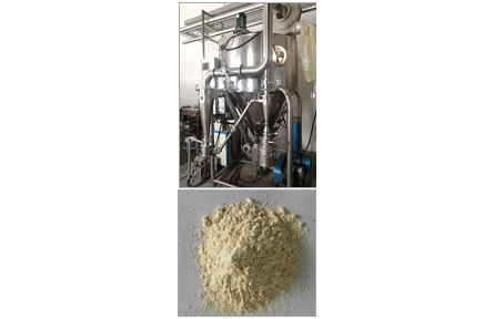 ?43、成果名稱(chēng)：速溶果蔬粉生產(chǎn)關(guān)鍵技術(shù)