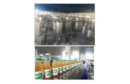 39、成果名稱(chēng)：蘋(píng)果醋綠色釀造關(guān)鍵技術(shù)