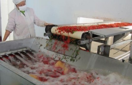 31、成果名稱(chēng)：高胡蘿卜素含量的鮮枸杞濃縮漿生產(chǎn)技術(shù)