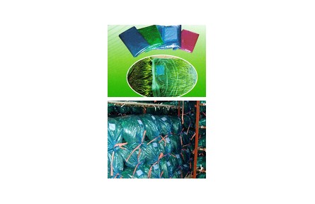 14、成果名稱：蒜苔貯藏保鮮實(shí)用技術(shù)