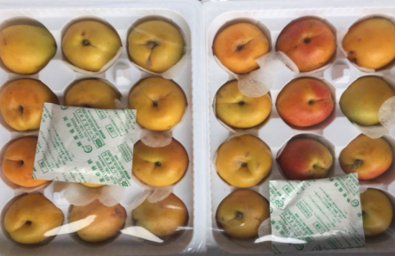 10、成果名稱：杏電商流通保鮮技術(shù)