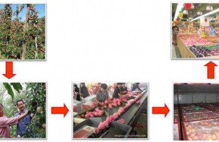 1、成果名稱：蘋果采收分級及貯藏保鮮關(guān)鍵技術(shù)