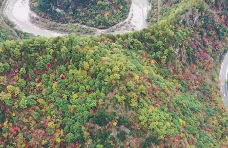 迷人金秋 秦嶺南北麓航拍