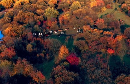 航拍作品《額爾古納的秋》