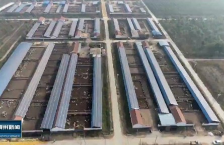 山東省濱州市沾化區(qū)：“上光下養(yǎng) 光畜互補”推動鄉(xiāng)村振興新發(fā)展