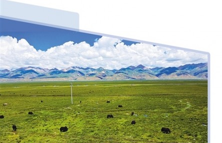 西藏當(dāng)雄：牦牛產(chǎn)業(yè)魅力足