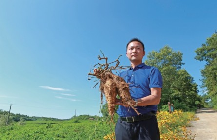 湖北襄陽(yáng)尹為：返鄉(xiāng)創(chuàng)業(yè)種葛根 帶領(lǐng)鄉(xiāng)親一起富