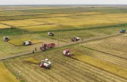 全國(guó)冬小麥播種過(guò)九成 面積有望保持穩(wěn)定