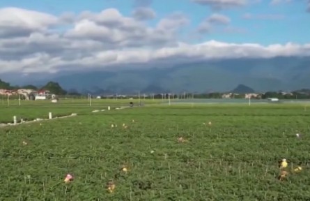 湖南：著力推進(jìn)農(nóng)業(yè)現(xiàn)代化 奮力打造新時(shí)代“魚(yú)米之鄉(xiāng)”