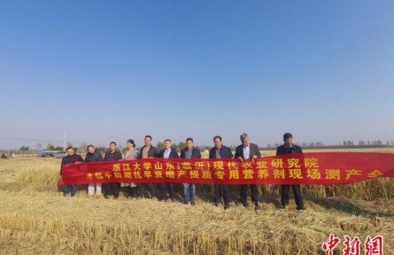浙江大學成果在臨沂落地 “真打糧”可使水稻畝增產(chǎn)83斤