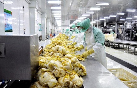 黑龍江北安市紅星農(nóng)場（酸菜）獲批全國“一村一品”示范鎮(zhèn)認(rèn)定