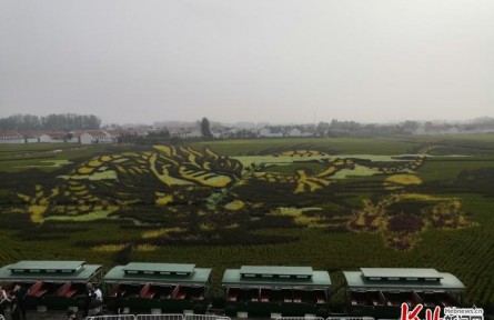 河北12個村入選2021年全國鄉(xiāng)村特色產(chǎn)業(yè)億元村名單