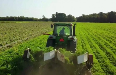 河南：加快轉型升級 實現農業(yè)高質量發(fā)展