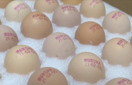江蘇淮安盱眙縣鮑集鎮(zhèn)鄒黃村：打碼的雞蛋，新鮮看得見！?