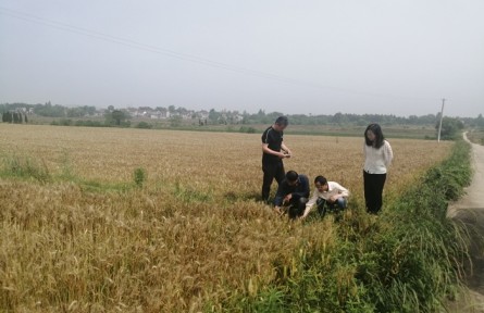 安徽懷寧臘樹鎮(zhèn)：辦實事 開新局 加強農(nóng)業(yè)技術(shù)指導(dǎo)