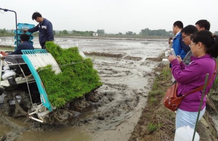 張慶忠：農業(yè)農村面源污染防控要堅持正確的技術方向