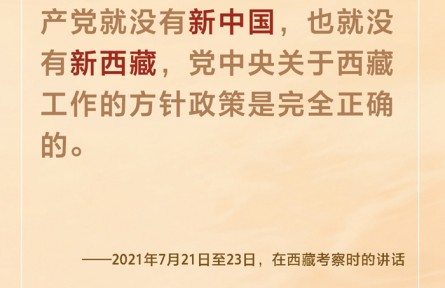 新起點、新發(fā)展、新篇章 習(xí)近平為新時代西藏發(fā)展指明方向