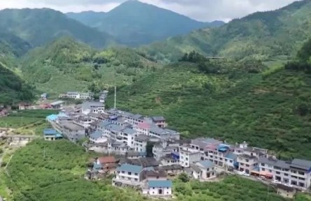 【走進(jìn)鄉(xiāng)村看小康】發(fā)展特色產(chǎn)業(yè) 助力農(nóng)民增收