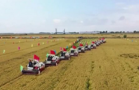 【奮斗百年路 啟航新征程·小康夢圓】補(bǔ)齊“三農(nóng)”短板 提升全面小康成色