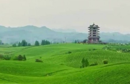 【新征程開局“十四五”】增減之間 綠色成為高質(zhì)量發(fā)展鮮明底色