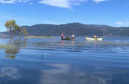 云南：打響“湖泊革命”攻堅戰(zhàn) 九湖保護(hù)治理持續(xù)發(fā)力