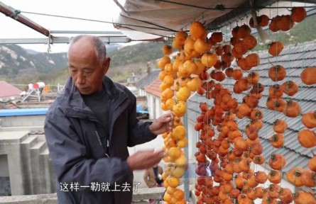 山東煙臺(tái)牟平區(qū)：初冬柿子餅的甜蜜鄉(xiāng)愁