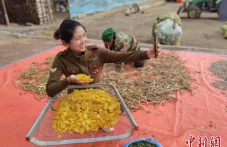 “90后”大學(xué)生劉佳寧：返鄉(xiāng)“帶貨”振興故鄉(xiāng)