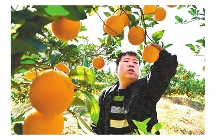 “小老弟”廖竹生的奮斗人生：身殘志堅(jiān) 電商托起致富夢(mèng)