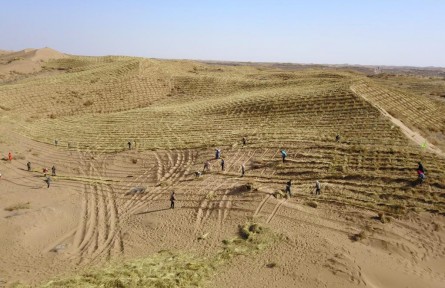 郭萬剛：“沙漠不退人不退，草木不活人不走”