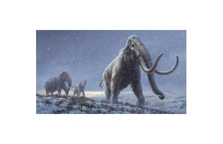 165萬年前“最古老”DNA如何被發(fā)現？