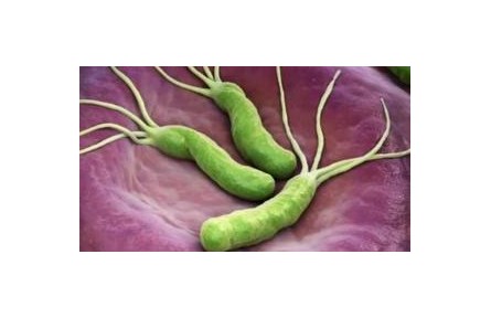 “殺幽牙膏”真能殺滅幽門螺旋桿菌嗎？