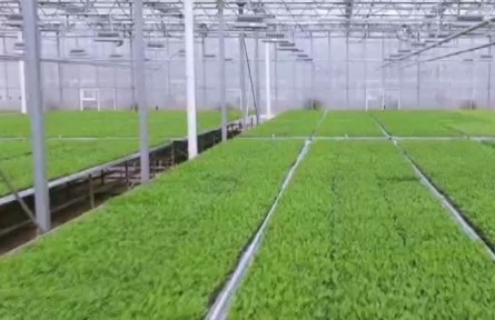 貴州：多措并舉確?！安嘶@子”貨足價穩(wěn)