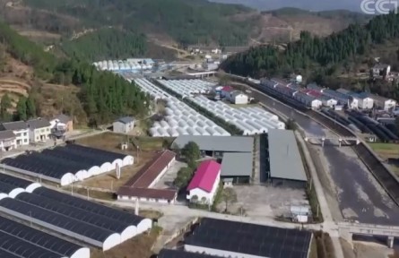 各地脫貧攻堅成果進一步鞏固 76%已經(jīng)消除返貧風(fēng)險