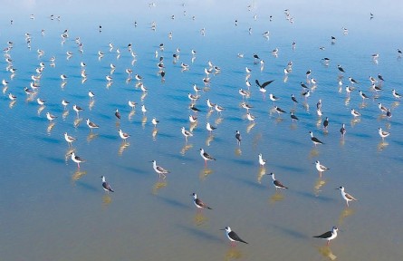 安徽：浪花里飛出歡樂(lè)的歌