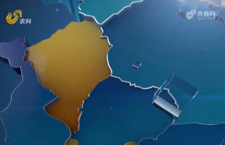 豐田寶——專(zhuān)利智能肥 讓種地更輕松