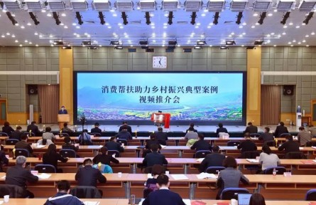 北京市國資委消費(fèi)幫扶經(jīng)驗入選“全國鄉(xiāng)村振興典型案例”