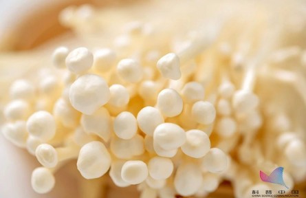 平時吃的金針菇，其實多是銀針菇？兩者有何不同？