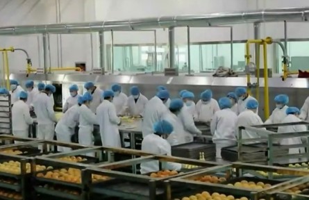 新疆：馕產(chǎn)業(yè)邁出高質(zhì)量發(fā)展步伐