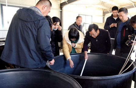 華中農(nóng)業(yè)大學：田埂上的“教授團”