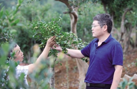 大連民族大學：把科技送到田間地頭