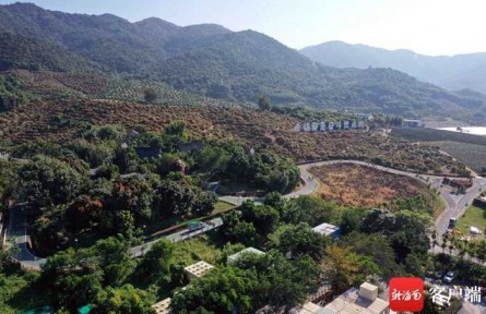 共享農莊成為海南“三農”新品牌 已創(chuàng)建試點200家