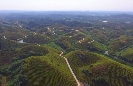 江西萬(wàn)安：“林長(zhǎng)+”加出“金山銀山”