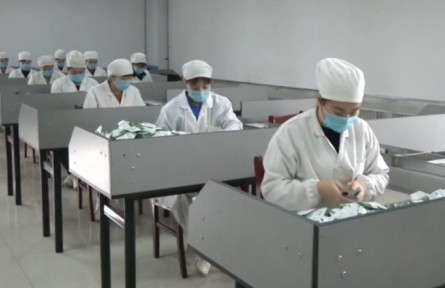 河北：從賣“原字號”到賣制成品 農(nóng)業(yè)龍頭項目助力鄉(xiāng)村振興