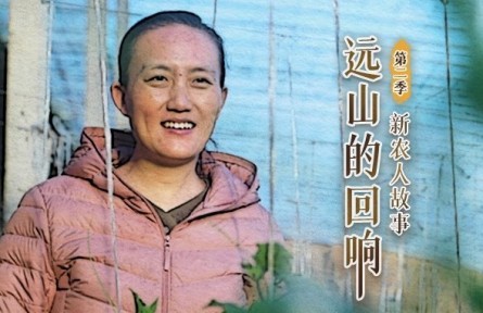 清華女博士后回村務(wù)農(nóng)：你想要的，土地都能給你